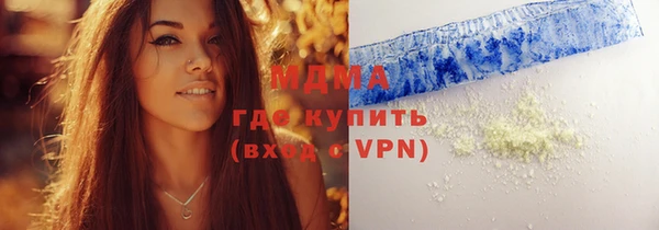 индика Осинники