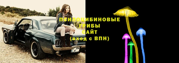 стаф Баксан