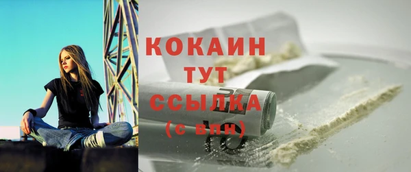 индика Осинники
