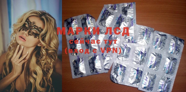 стаф Баксан