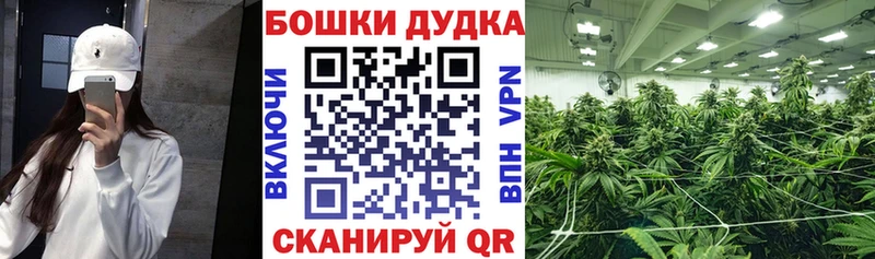 МАРИХУАНА VHQ  площадка формула  Муравленко 